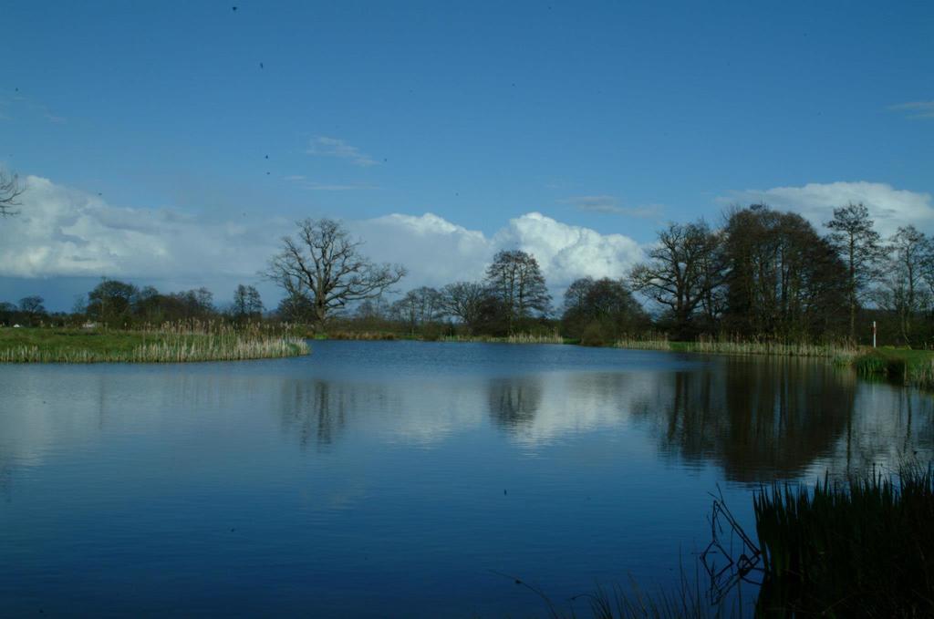 Netley Hall Dorrington Buitenkant foto